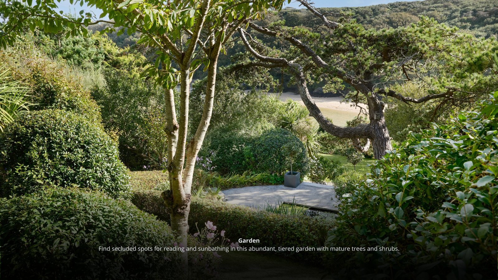 Inserir um título (13)