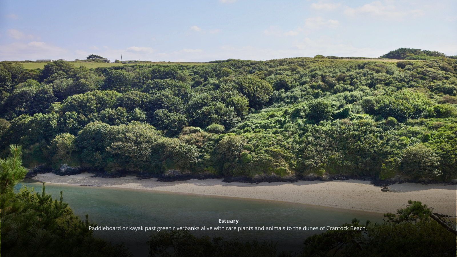 Inserir um título (14)