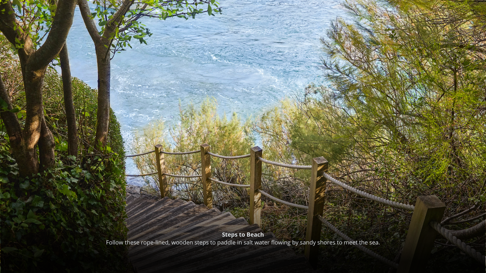 Inserir um título (15)